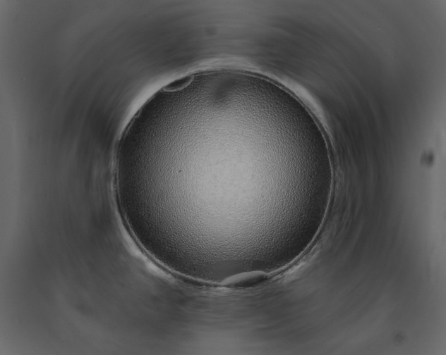 X0000091231390200708231645