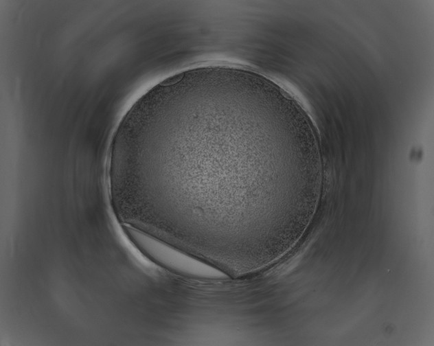 X0000091231391200708231645