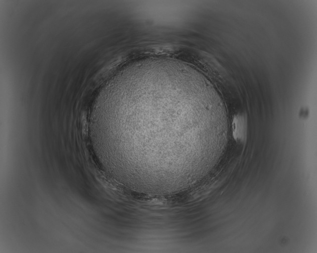 X0000091231395200708231644