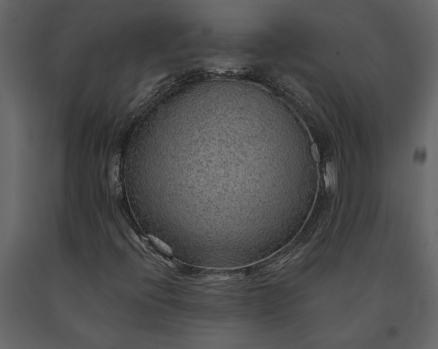 X0000091231396200708231644