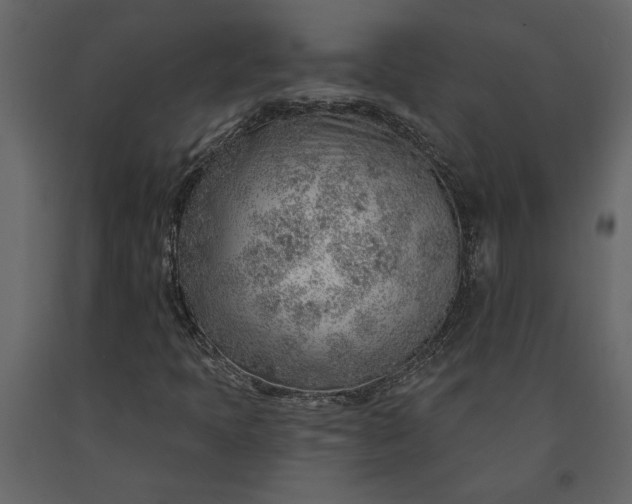 X0000091231397200708231644