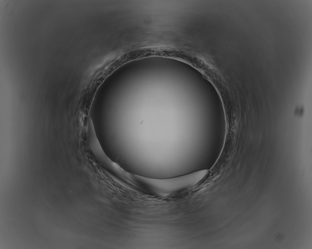 X0000091231398200708231644