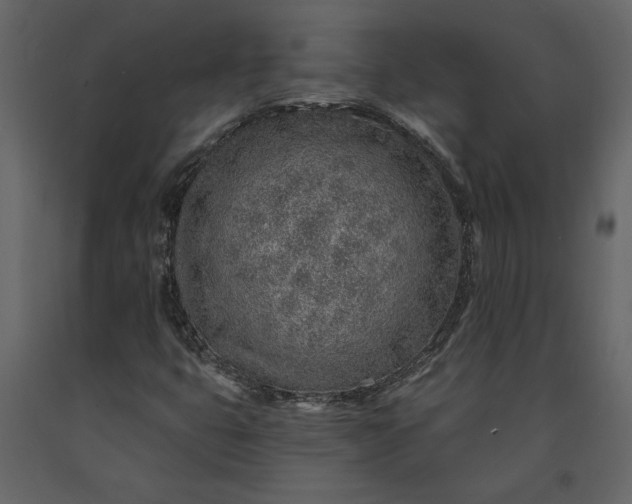 X0000091231399200708231644