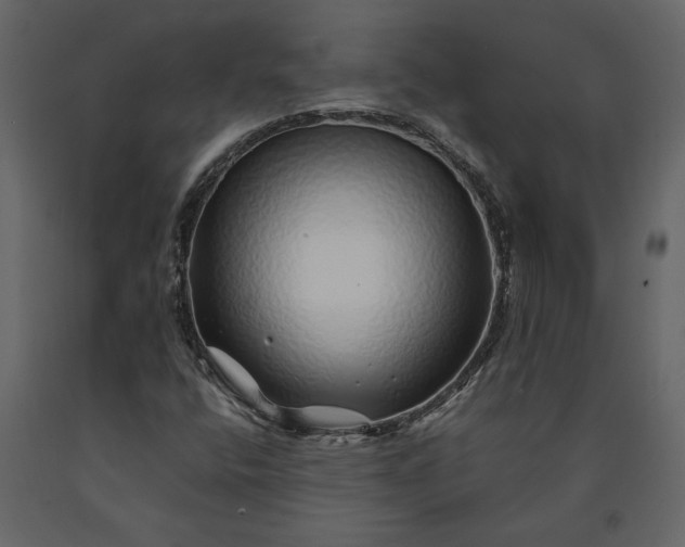 X0000091231400200708231644
