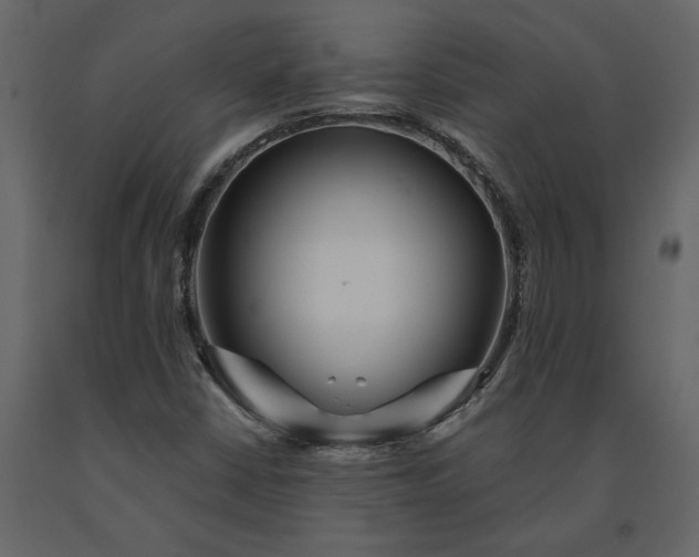 X0000091231402200708231644