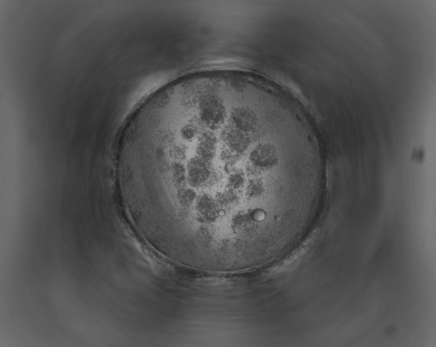 X0000091231405200708231644