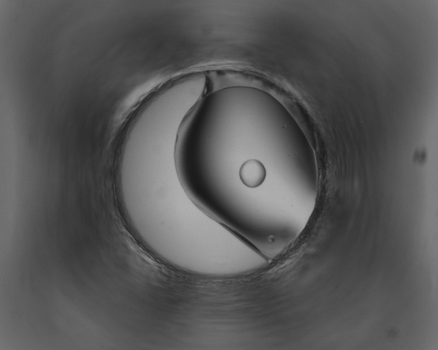 X0000091231406200708231644