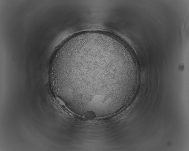 X0000091231407200708231644