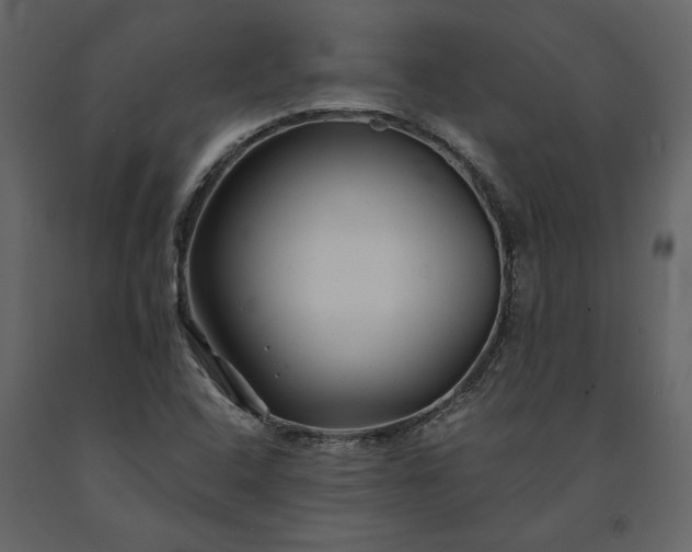 X0000091231408200708231644