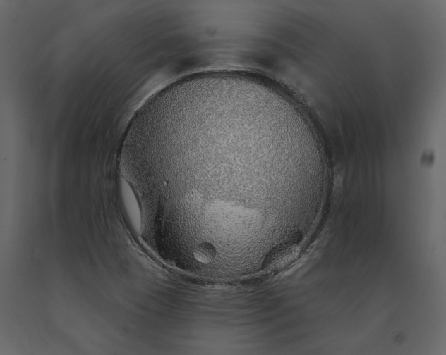 X0000091231409200708231644
