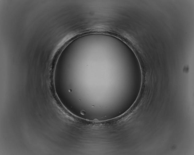 X0000091231410200708231644