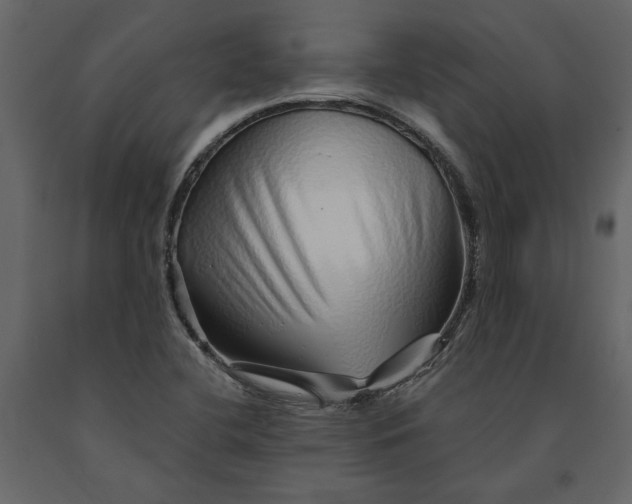 X0000091231412200708231644