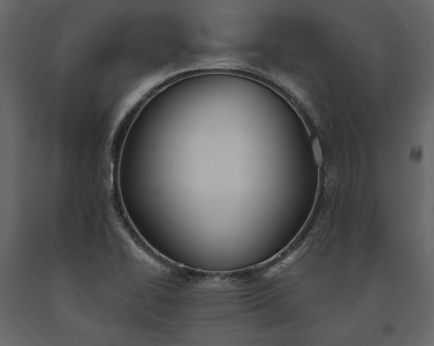X0000091231414200708231644