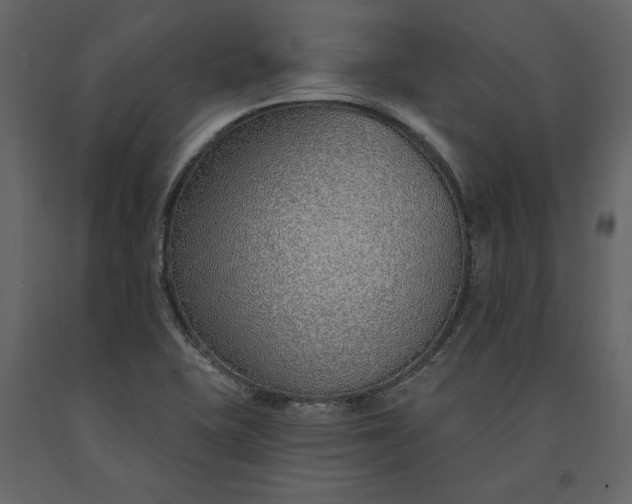 X0000091231415200708231644