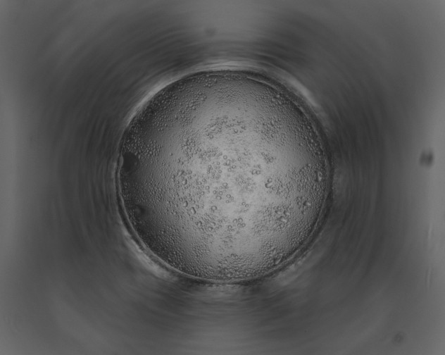 X0000091231417200708231644