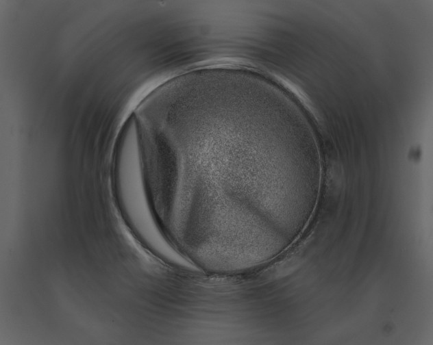 X0000091231418200708231644