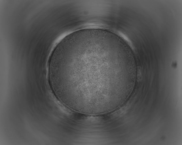 X0000091231419200708231644