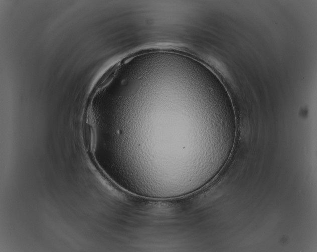 X0000091231420200708231644