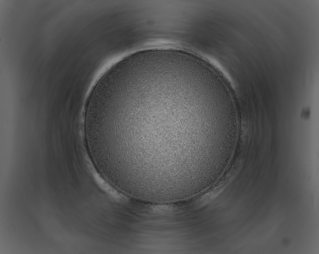 X0000091231421200708231644