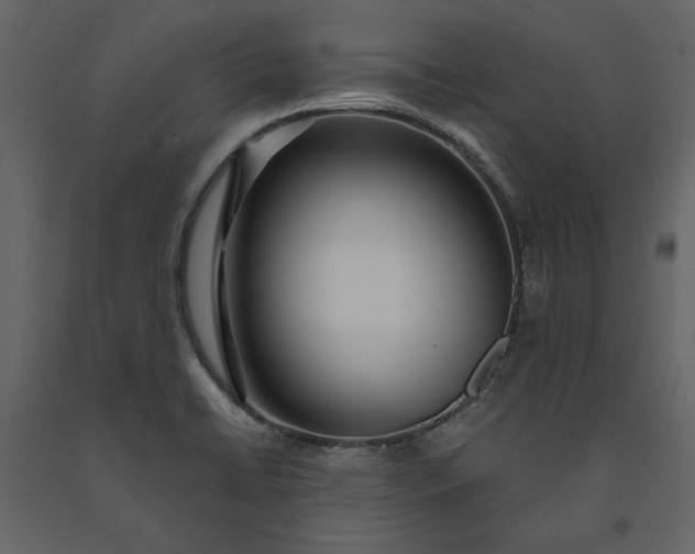 X0000091231422200708231644