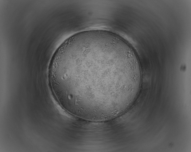 X0000091231423200708231644