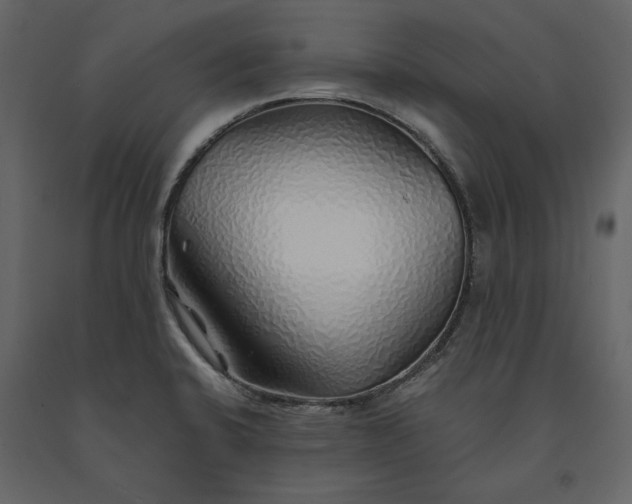X0000091231424200708231644