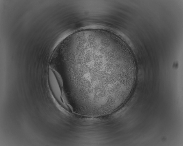 X0000091231425200708231644