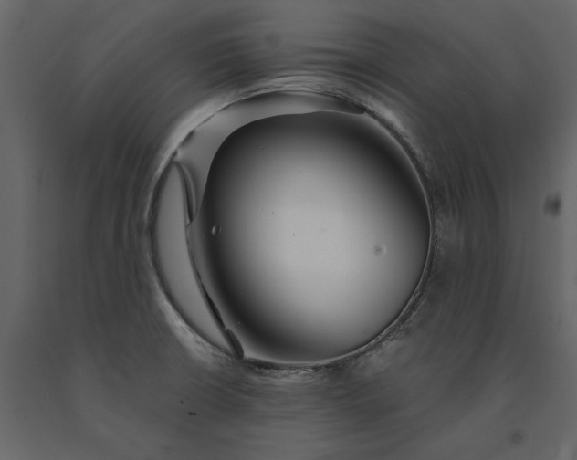 X0000091231426200708231644