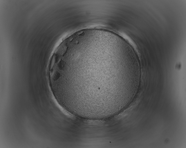 X0000091231429200708231644