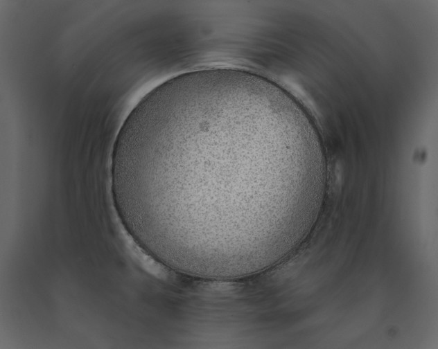 X0000091231431200708231644