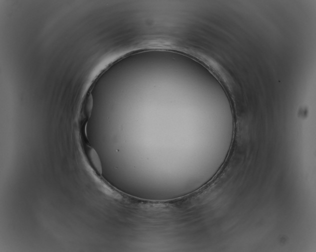X0000091231432200708231644