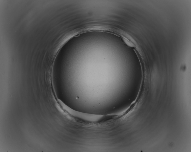 X0000091231433200708231644