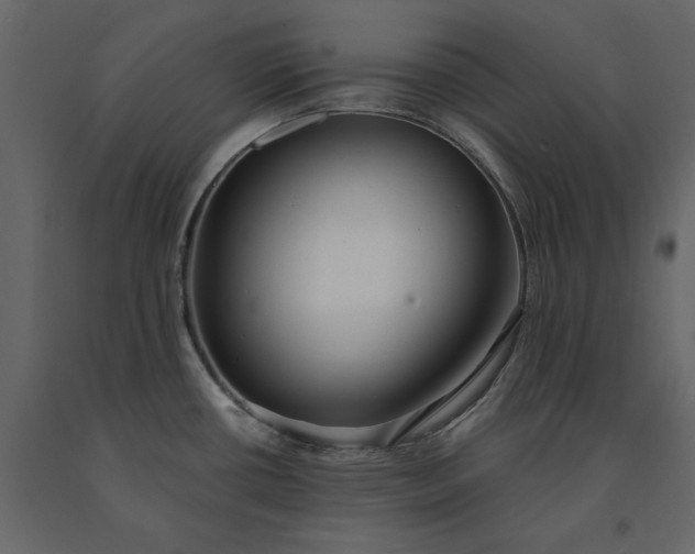 X0000091231434200708231644