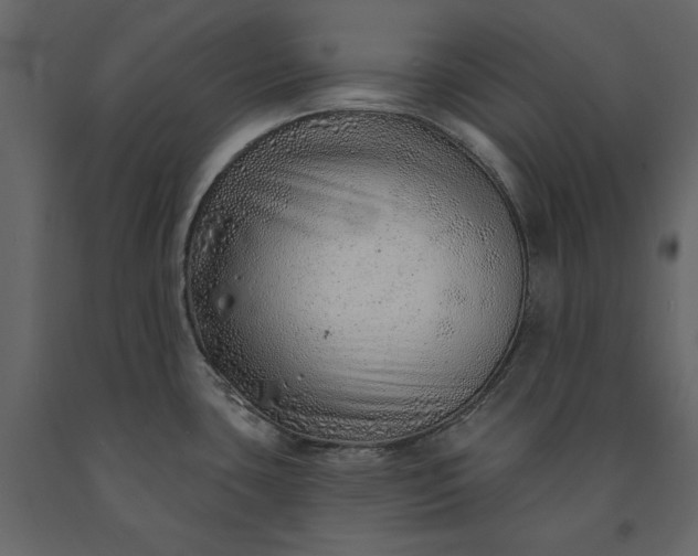 X0000091231435200708231644