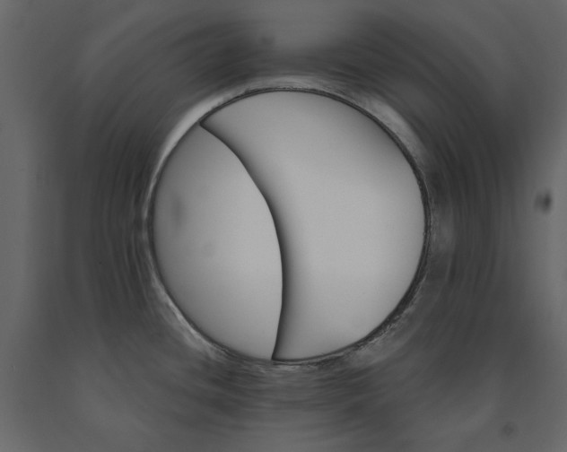 X0000091231436200708231644