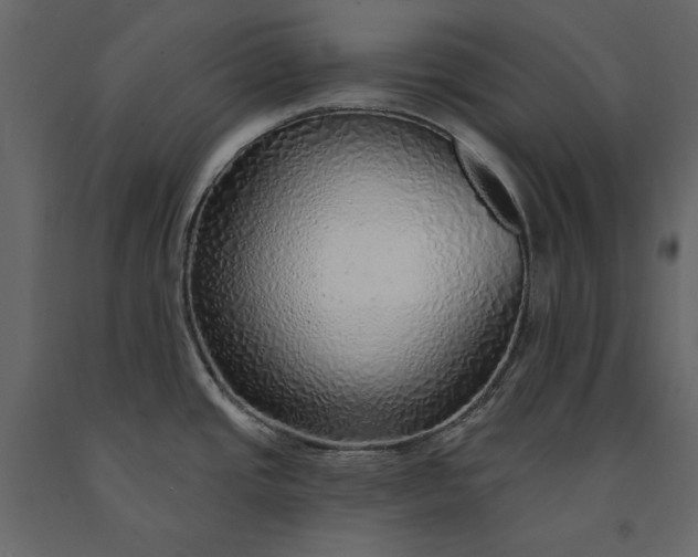 X0000091231437200708231644