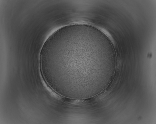 X0000091231439200708231644