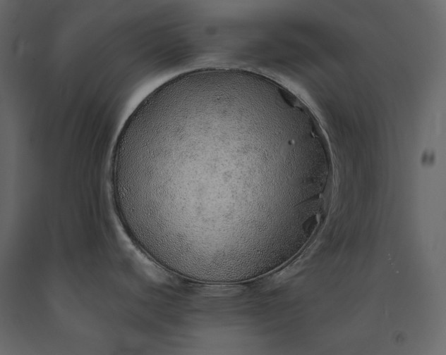 X0000091231440200708231644