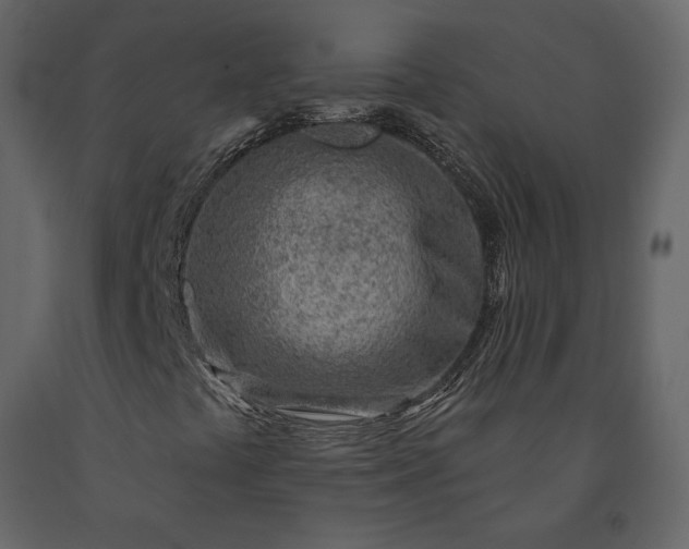X0000091231441200708231644