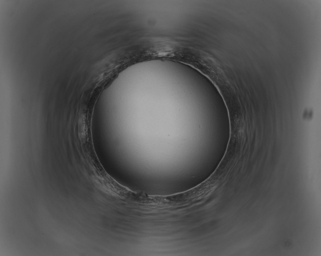 X0000091231442200708231644