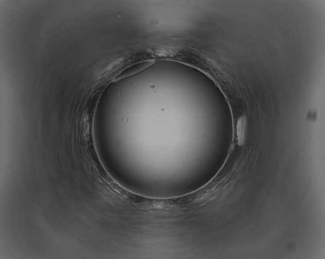 X0000091231443200708231644
