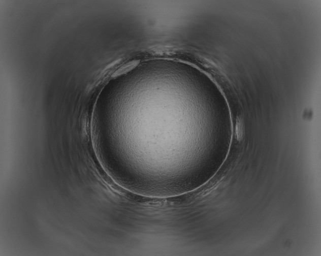 X0000091231444200708231644