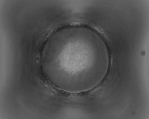 X0000091231445200708231644