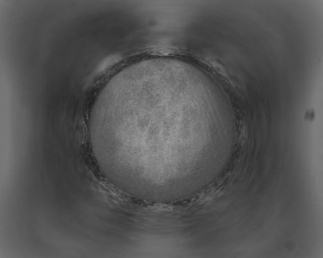 X0000091231446200708231644