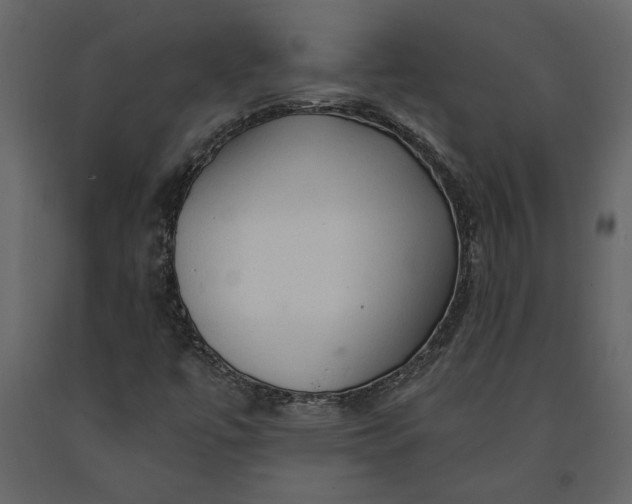 X0000091231447200708231644