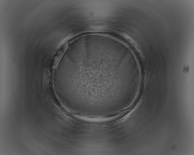 X0000091231449200708231644