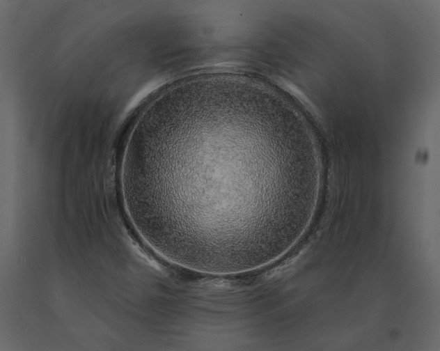 X0000091231450200708231644