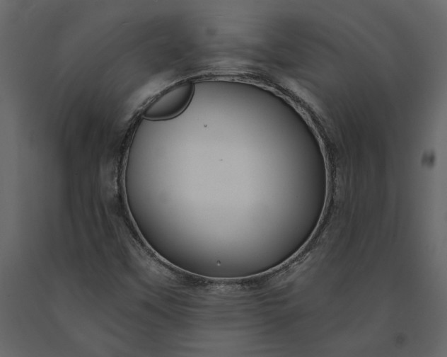 X0000091231451200708231644