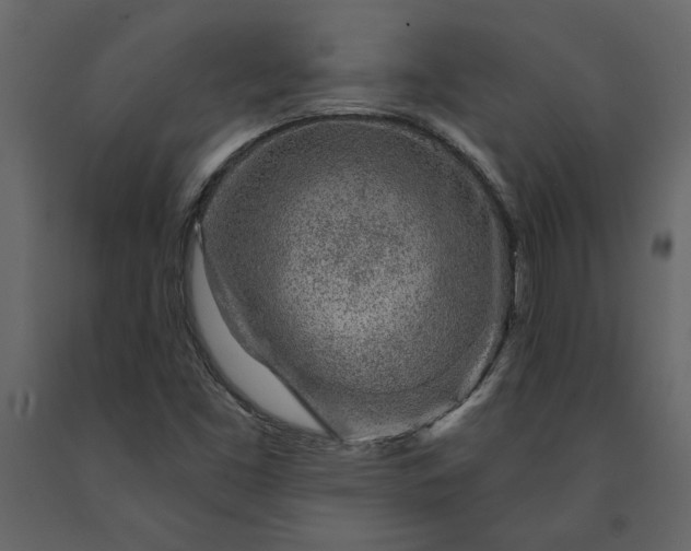 X0000091231453200708231644