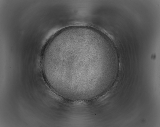 X0000091231454200708231644
